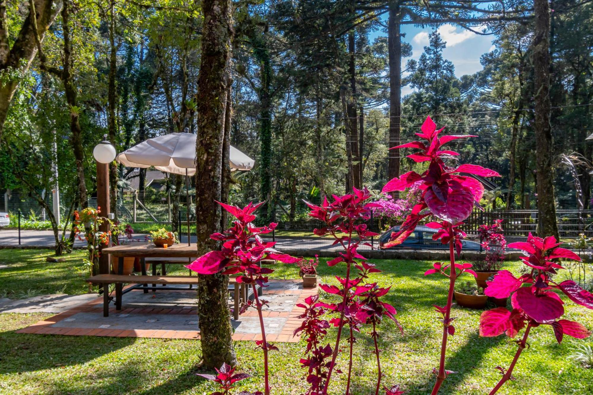 Pousada Vila 505 Canela Kültér fotó